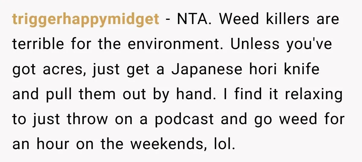 triggerhappymidget − NTA. Weed killers are terrible for the environment. Unless you've got acres, just get a Japanese hori knife and pull them out by hand. I find it relaxing...