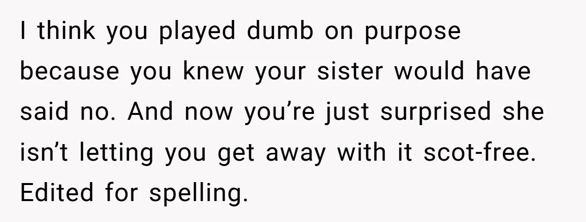 I think you played dumb on purpose because you knew your sister would have said no. And now you’re just surprised she isn’t letting you get away with it scot-free....