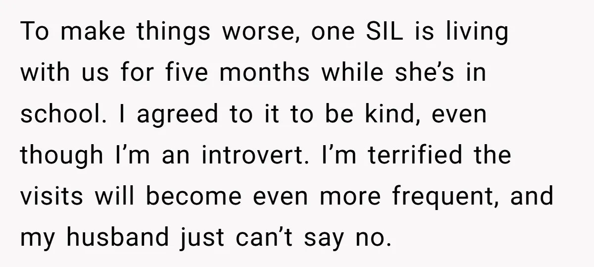 To make things worse, one SIL is living with us for five months while she’s in school. I agreed to it to be kind, even though I’m an introvert. I’m...