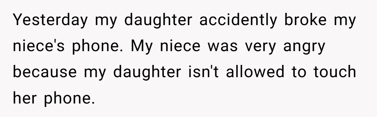 Yesterday my daughter accidently broke my niece's phone. My niece was very angry because my daughter isn't allowed to touch her phone.