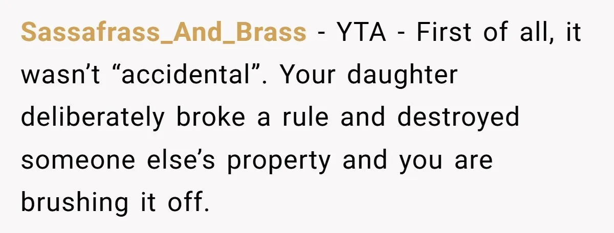 Sassafrass_And_Brass − YTA - First of all, it wasn’t “accidental”. Your daughter deliberately broke a rule and destroyed someone else’s property and you are brushing it off.
