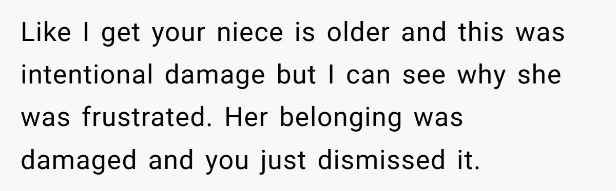 Like I get your niece is older and this was intentional damage but I can see why she was frustrated. Her belonging was damaged and you just dismissed it.