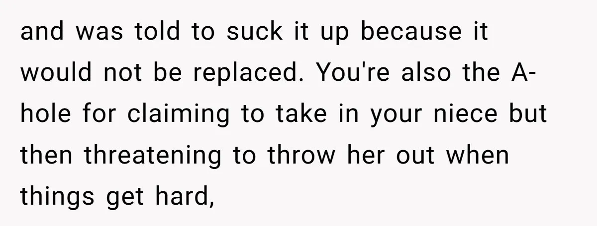 and was told to suck it up because it would not be replaced. You're also the A-hole for claiming to take in your niece but then threatening to throw her...