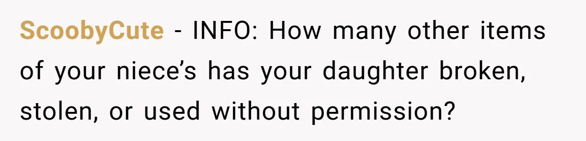 ScoobyCute − INFO: How many other items of your niece’s has your daughter broken, stolen, or used without permission?