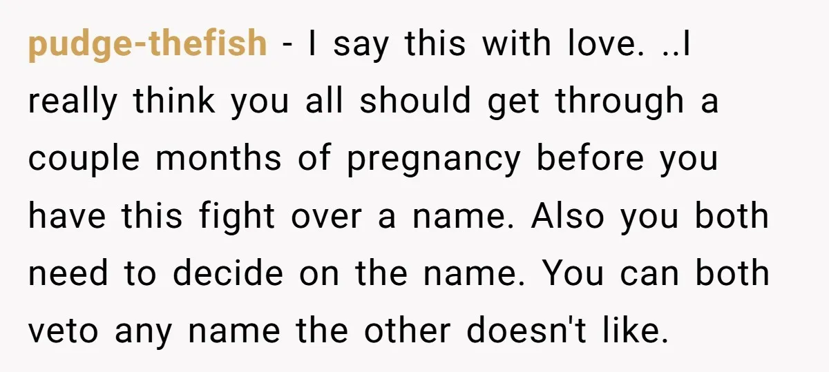 pudge-thefish − I say this with love. ..I really think you all should get through a couple months of pregnancy before you have this fight over a name. Also you...