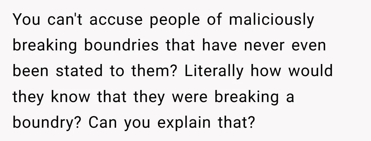 You can't accuse people of maliciously breaking boundries that have never even been stated to them? Literally how would they know that they were breaking a boundry? Can you explain...