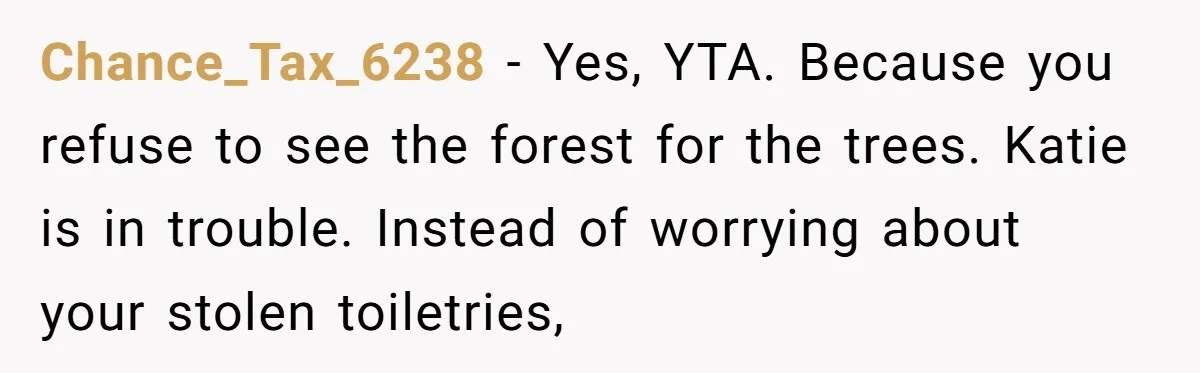 Chance_Tax_6238 − Yes, YTA. Because you refuse to see the forest for the trees. Katie is in trouble. Instead of worrying about your stolen toiletries,