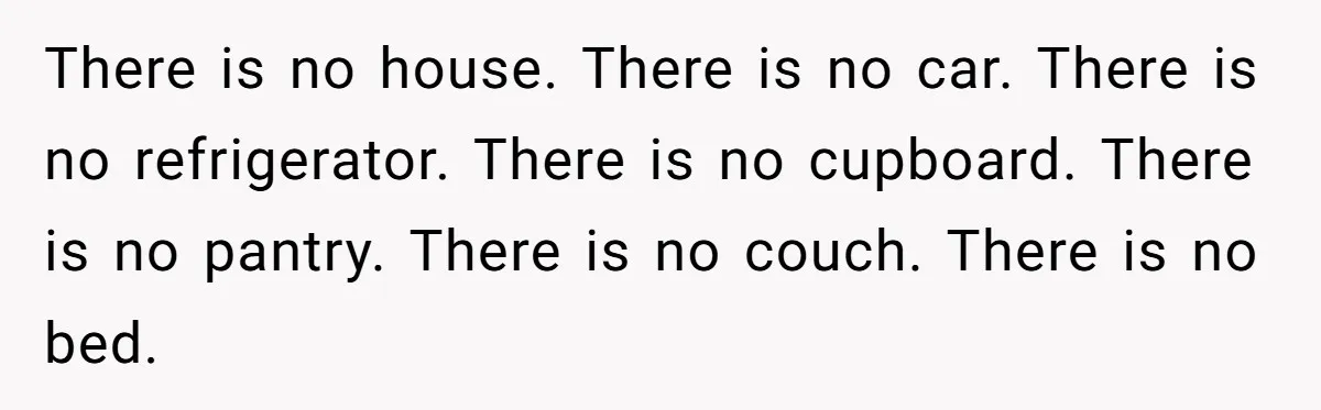 There is no house. There is no car. There is no refrigerator. There is no cupboard. There is no pantry. There is no couch. There is no bed.