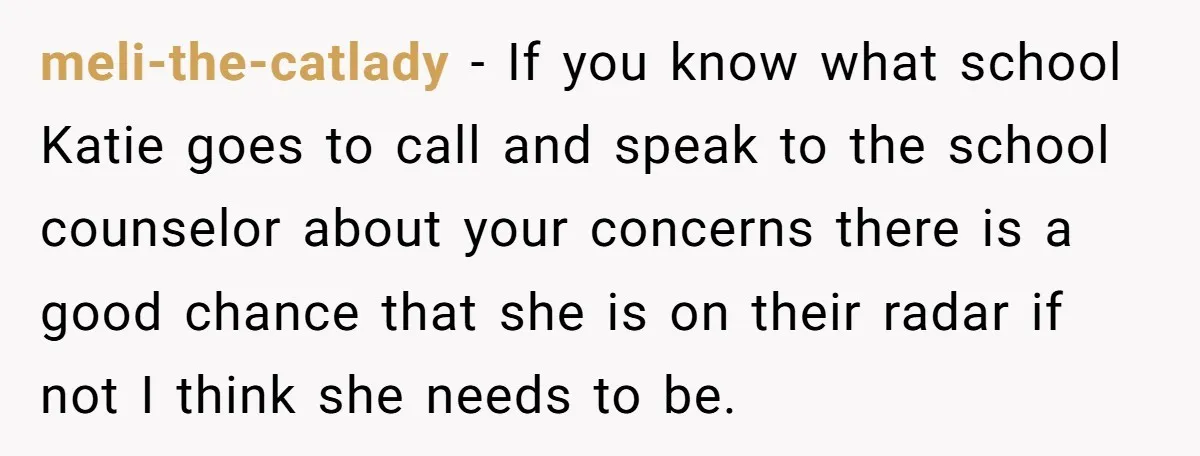 meli-the-catlady − If you know what school Katie goes to call and speak to the school counselor about your concerns there is a good chance that she is on their...