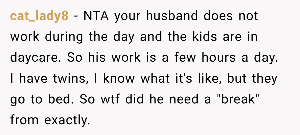 cat_lady8 − NTA your husband does not work during the day and the kids are in daycare. So his work is a few hours a day. I have twins, I...