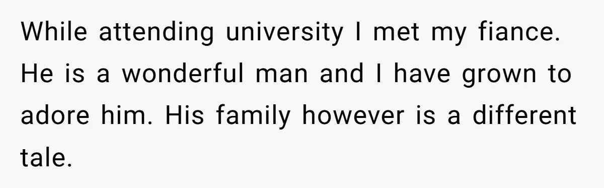 While attending university I met my fiance. He is a wonderful man and I have grown to adore him. His family however is a different tale.
