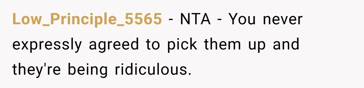 Low_Principle_5565 − NTA - You never expressly agreed to pick them up and they're being ridiculous.