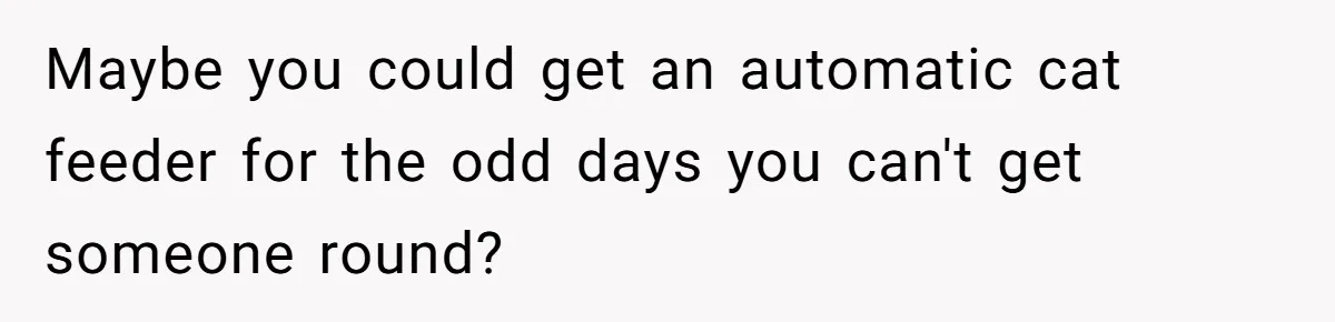 Maybe you could get an automatic cat feeder for the odd days you can't get someone round?