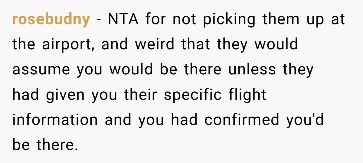 rosebudny − NTA for not picking them up at the airport, and weird that they would assume you would be there unless they had given you their specific flight information...