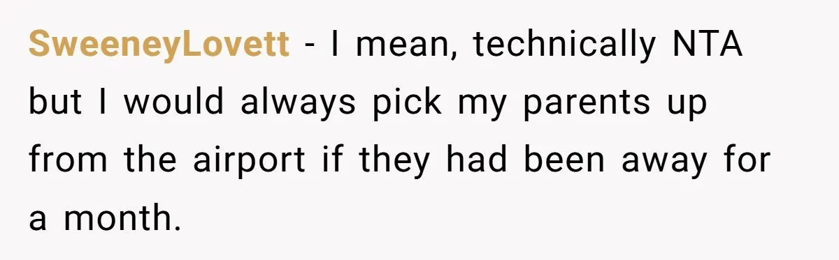 SweeneyLovett − I mean, technically NTA but I would always pick my parents up from the airport if they had been away for a month.