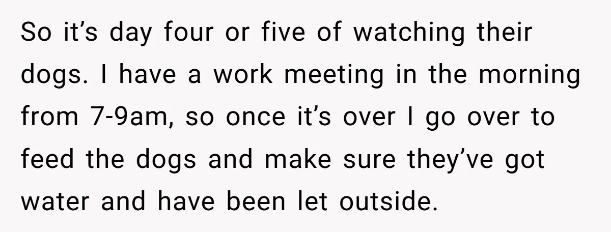 So it’s day four or five of watching their dogs. I have a work meeting in the morning from 7-9am, so once it’s over I go over to feed the...