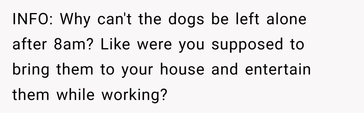 INFO: Why can't the dogs be left alone after 8am? Like were you supposed to bring them to your house and entertain them while working?