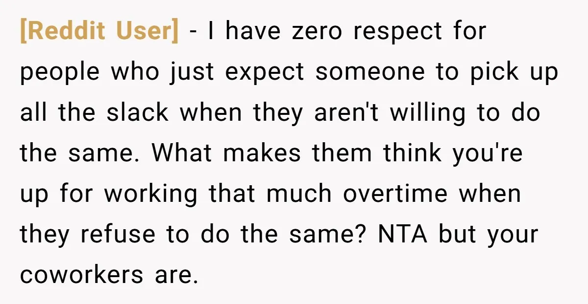 [Reddit User] − I have zero respect for people who just expect someone to pick up all the slack when they aren't willing to do the same. What makes them...