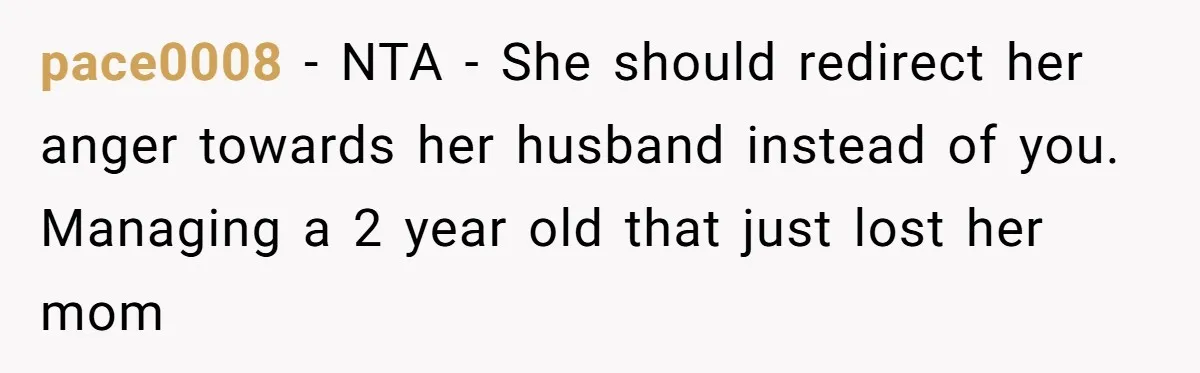 pace0008 − NTA - She should redirect her anger towards her husband instead of you. Managing a 2 year old that just lost her mom