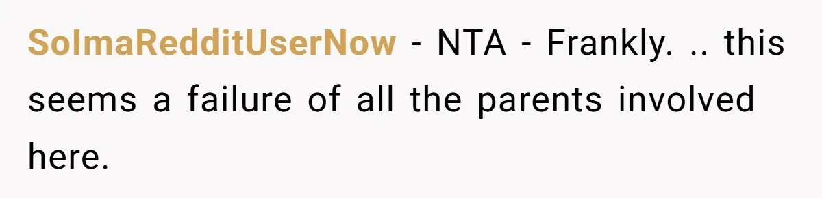 SoImaRedditUserNow − NTA - Frankly. .. this seems a failure of all the parents involved here.