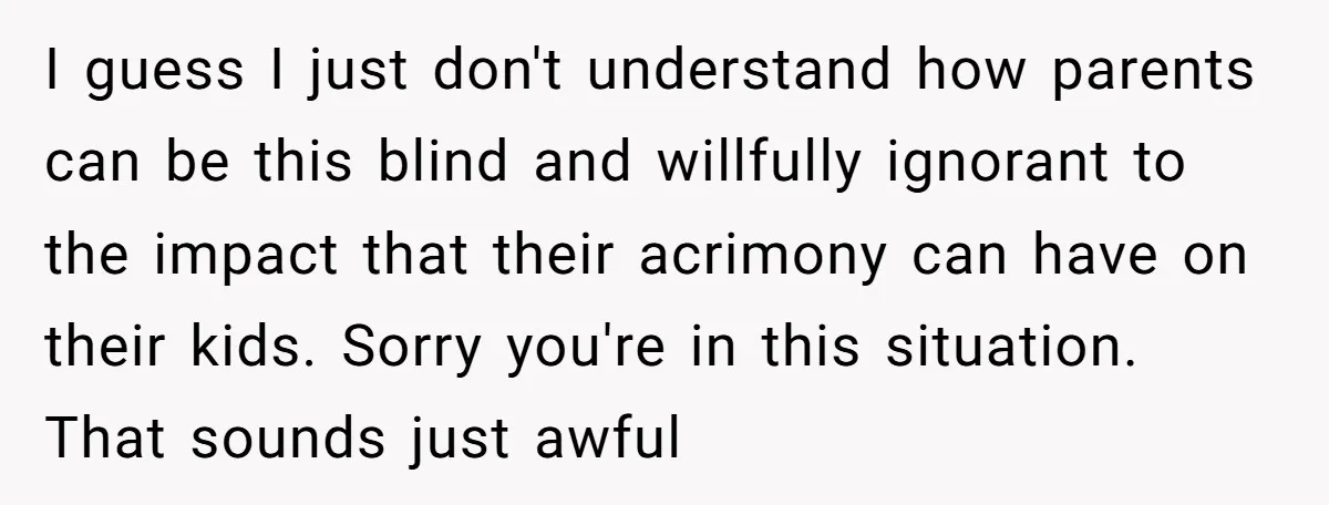 I guess I just don't understand how parents can be this blind and willfully ignorant to the impact that their acrimony can have on their kids. Sorry you're in this...