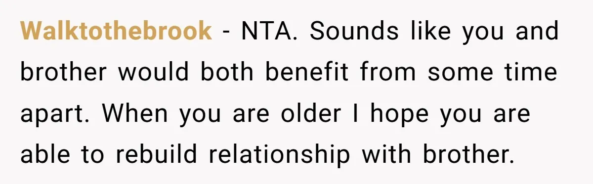 Walktothebrook − NTA. Sounds like you and brother would both benefit from some time apart. When you are older I hope you are able to rebuild relationship with brother.