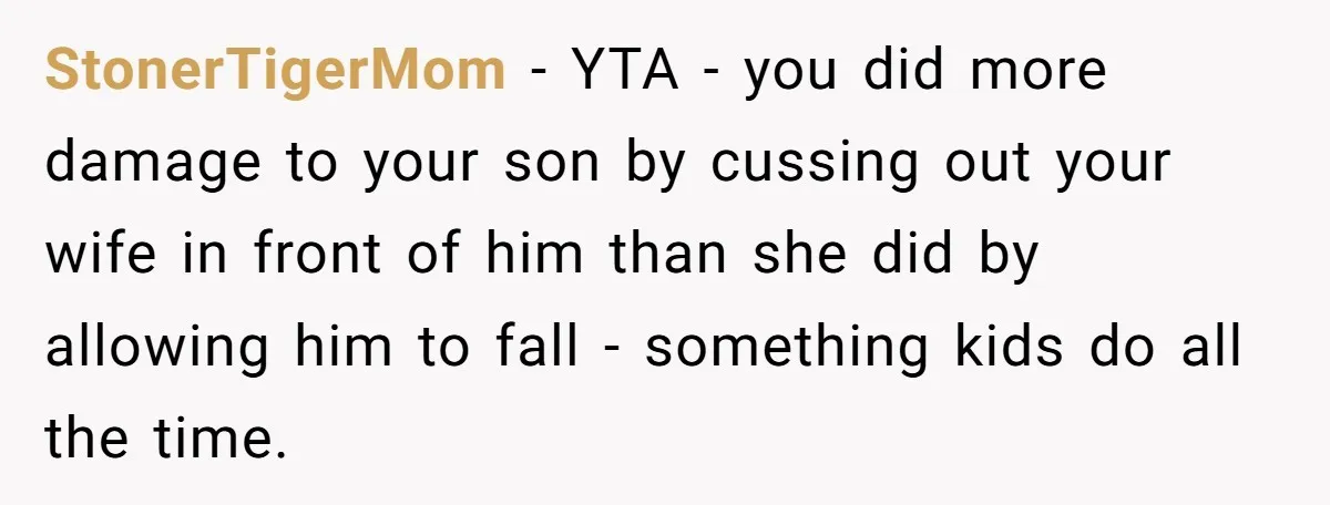 StonerTigerMom − YTA - you did more damage to your son by cussing out your wife in front of him than she did by allowing him to fall - something...