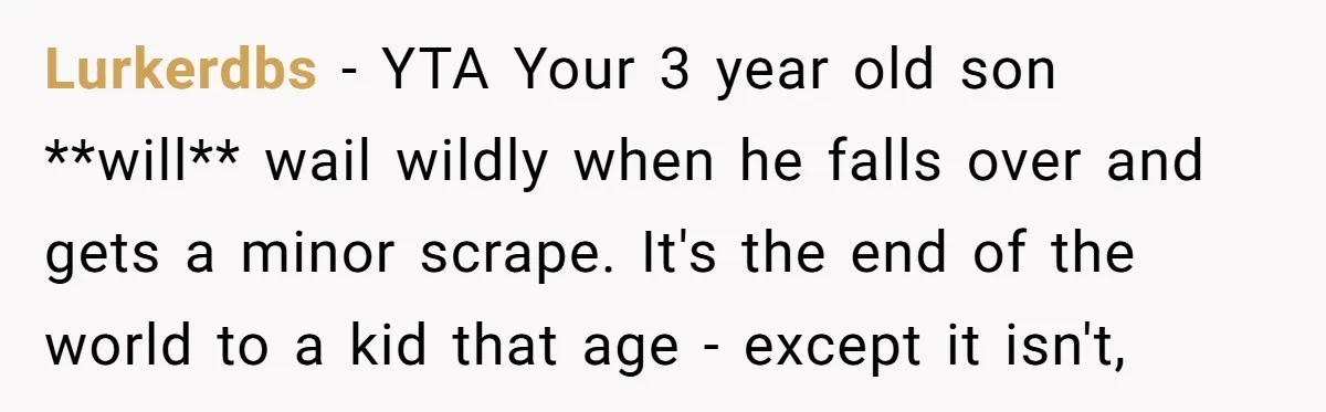 Lurkerdbs − YTA Your 3 year old son **will** wail wildly when he falls over and gets a minor scrape. It's the end of the world to a kid that...