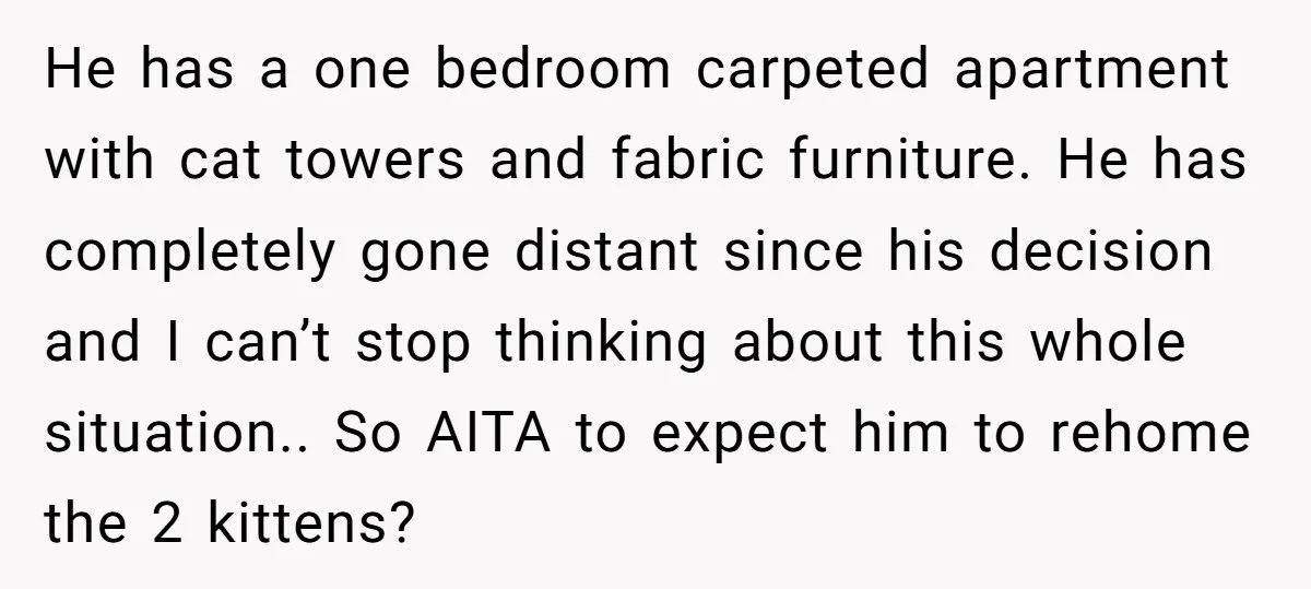 He has a one bedroom carpeted apartment with cat towers and fabric furniture. He has completely gone distant since his decision and I can’t stop thinking about this whole situation.....