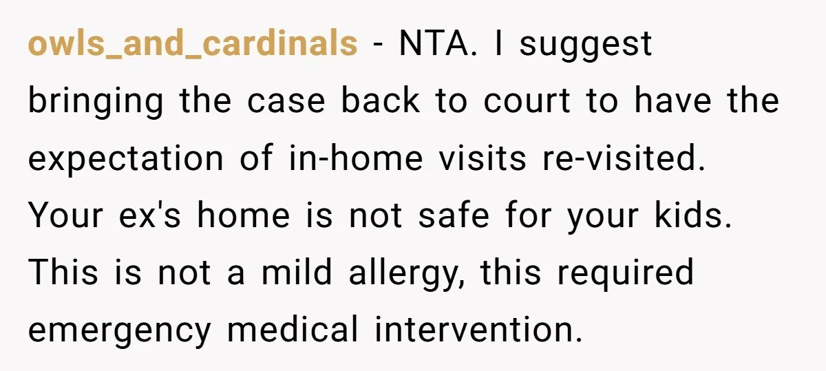 owls_and_cardinals − NTA. I suggest bringing the case back to court to have the expectation of in-home visits re-visited. Your ex's home is not safe for your kids. This is...