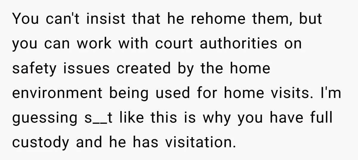 You can't insist that he rehome them, but you can work with court authorities on safety issues created by the home environment being used for home visits. I'm guessing s__t...