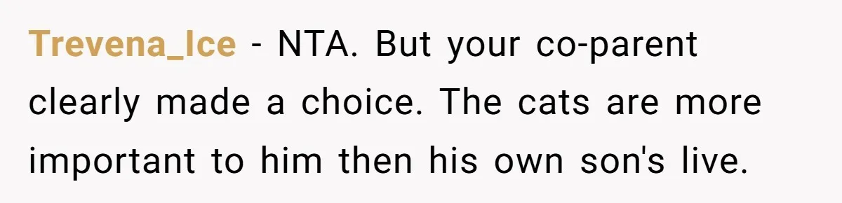 Trevena_Ice − NTA. But your co-parent clearly made a choice. The cats are more important to him then his own son's live.