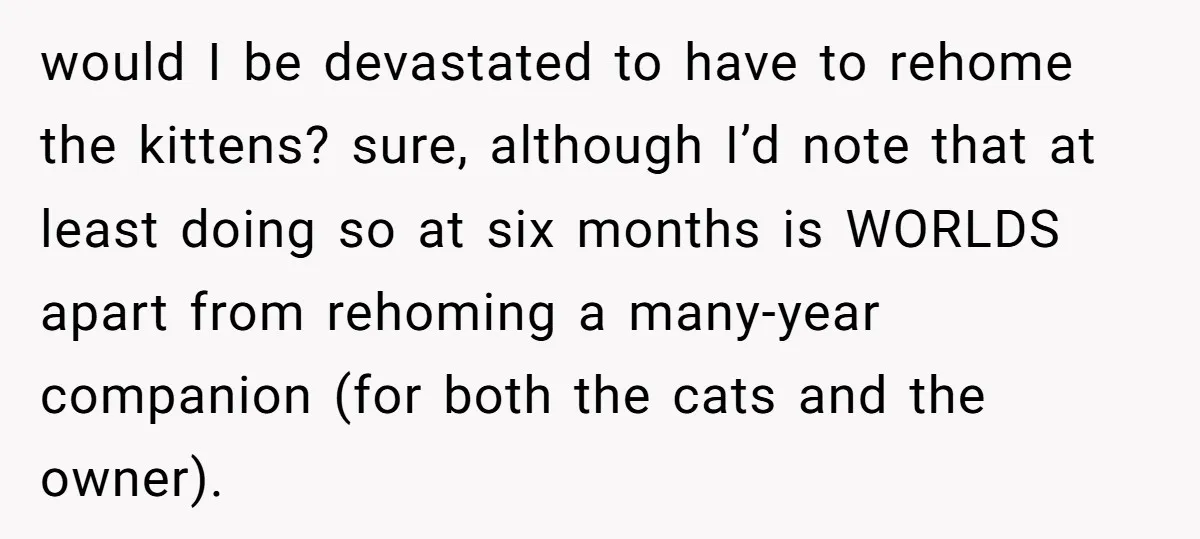 would I be devastated to have to rehome the kittens? sure, although I’d note that at least doing so at six months is WORLDS apart from rehoming a many-year companion...