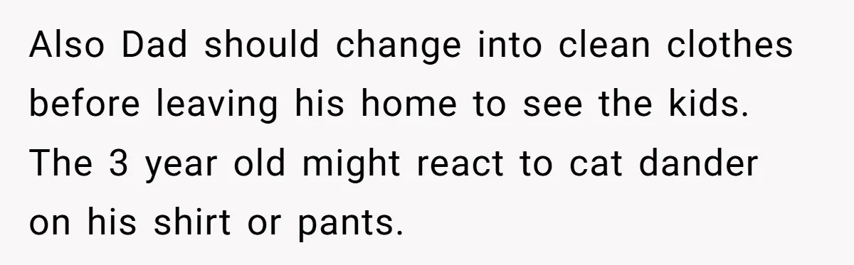 Also Dad should change into clean clothes before leaving his home to see the kids. The 3 year old might react to cat dander on his shirt or pants.