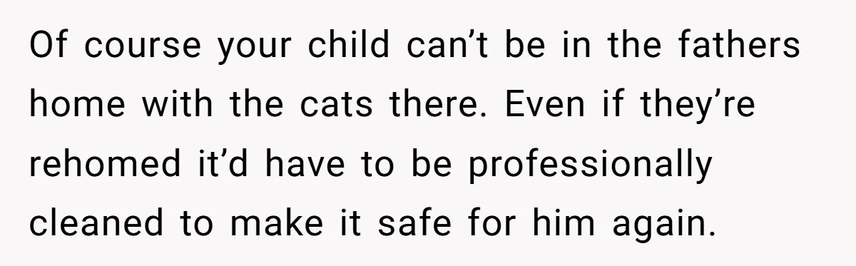 Of course your child can’t be in the fathers home with the cats there. Even if they’re rehomed it’d have to be professionally cleaned to make it safe for him...