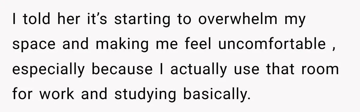 I told her it’s starting to overwhelm my space and making me feel uncomfortable , especially because I actually use that room for work and studying basically.
