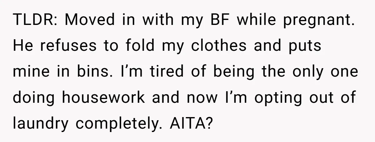 TLDR: Moved in with my BF while pregnant. He refuses to fold my clothes and puts mine in bins. I’m tired of being the only one doing housework and now...