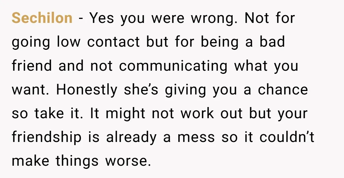 Sechilon − Yes you were wrong. Not for going low contact but for being a bad friend and not communicating what you want. Honestly she’s giving you a chance so...