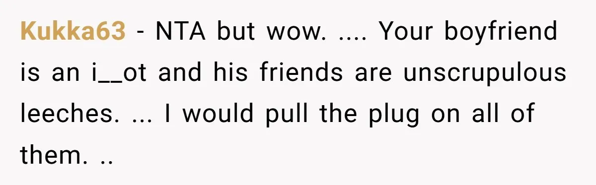 Kukka63 − NTA but wow. .... Your boyfriend is an i__ot and his friends are unscrupulous leeches. ... I would pull the plug on all of them. ..
