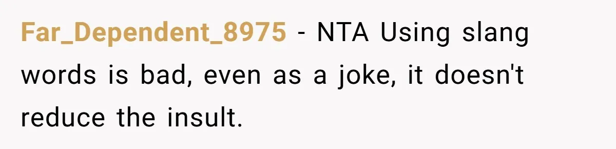Far_Dependent_8975 − NTA Using slang words is bad, even as a joke, it doesn't reduce the insult.