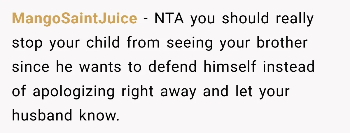 MangoSaintJuice − NTA you should really stop your child from seeing your brother since he wants to defend himself instead of apologizing right away and let your husband know.