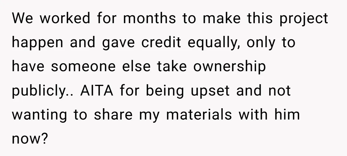 We worked for months to make this project happen and gave credit equally, only to have someone else take ownership publicly.. AITA for being upset and not wanting to share...