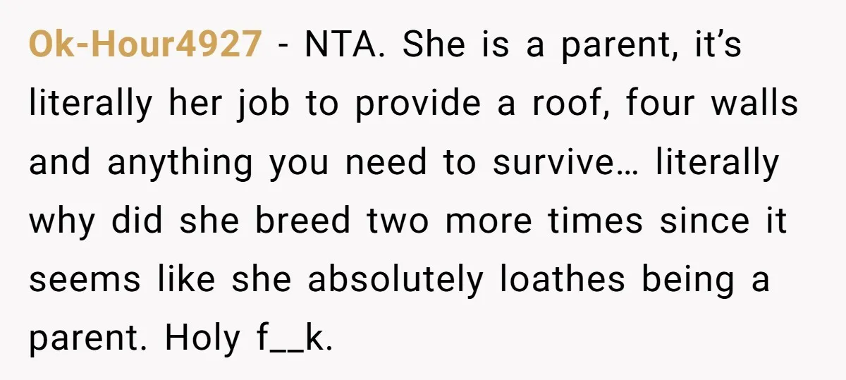 Ok-Hour4927 − NTA. She is a parent, it’s literally her job to provide a roof, four walls and anything you need to survive… literally why did she breed two more...