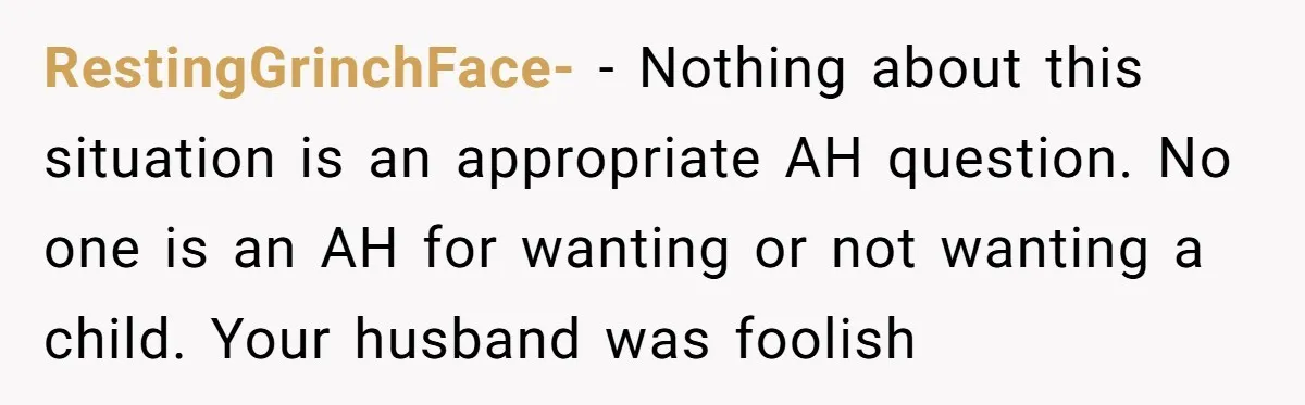 RestingGrinchFace- - Nothing about this situation is an appropriate AH question. No one is an AH for wanting or not wanting a child. Your husband was foolish