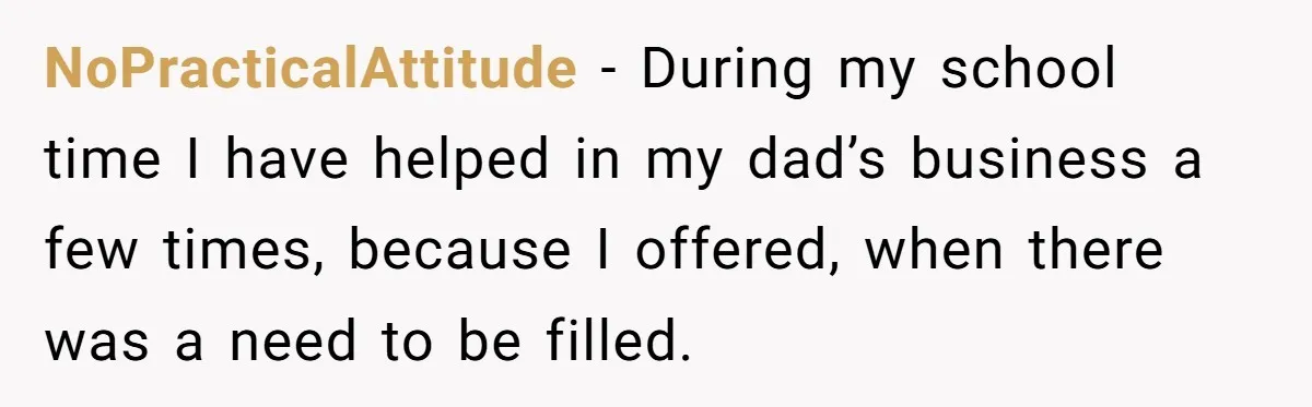 NoPracticalAttitude − During my school time I have helped in my dad’s business a few times, because I offered, when there was a need to be filled.