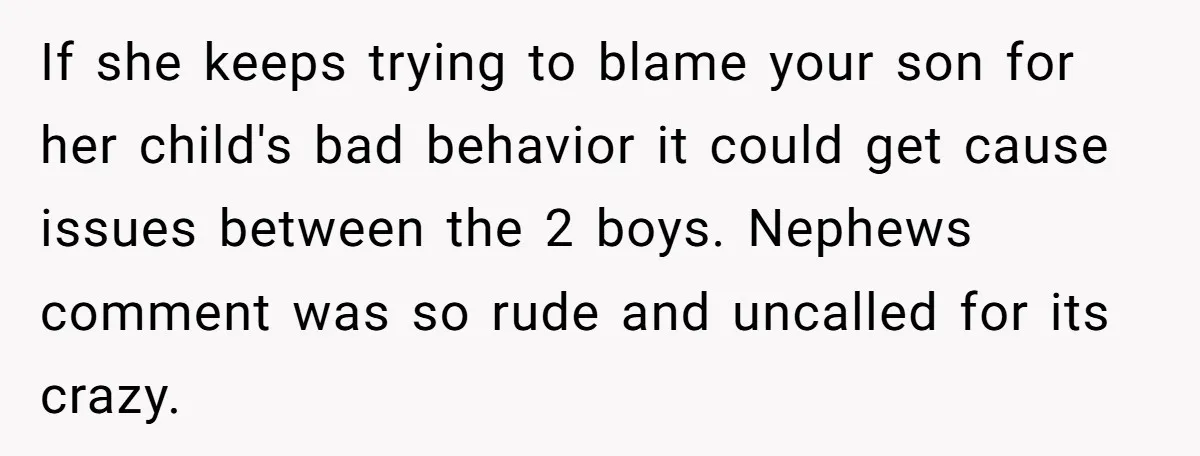 If she keeps trying to blame your son for her child's bad behavior it could get cause issues between the 2 boys. Nephews comment was so rude and uncalled for...