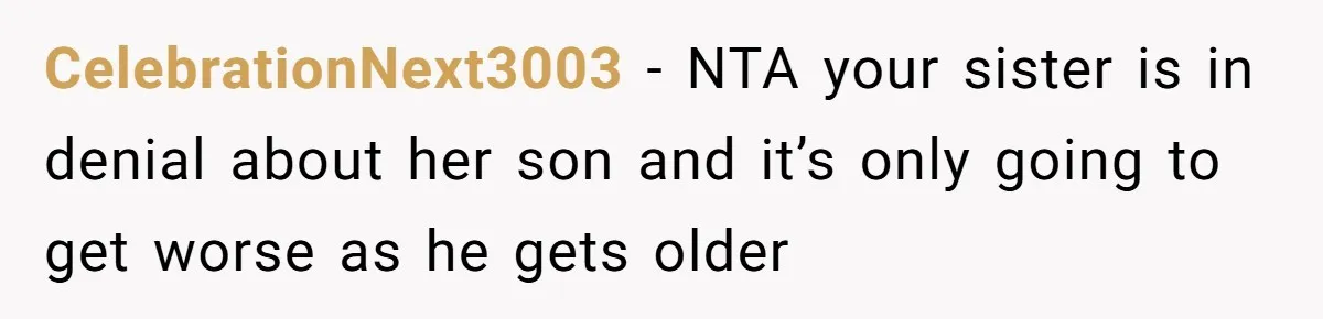 CelebrationNext3003 − NTA your sister is in denial about her son and it’s only going to get worse as he gets older