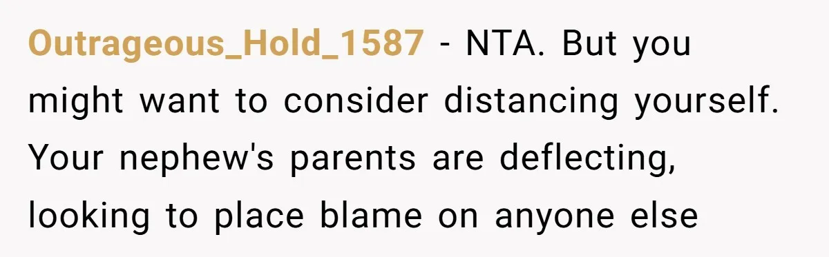 Outrageous_Hold_1587 − NTA. But you might want to consider distancing yourself. Your nephew's parents are deflecting, looking to place blame on anyone else