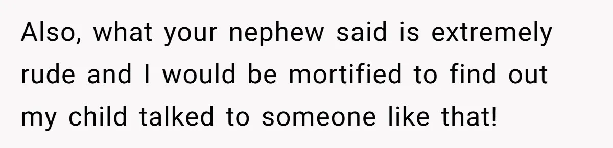 Also, what your nephew said is extremely rude and I would be mortified to find out my child talked to someone like that!