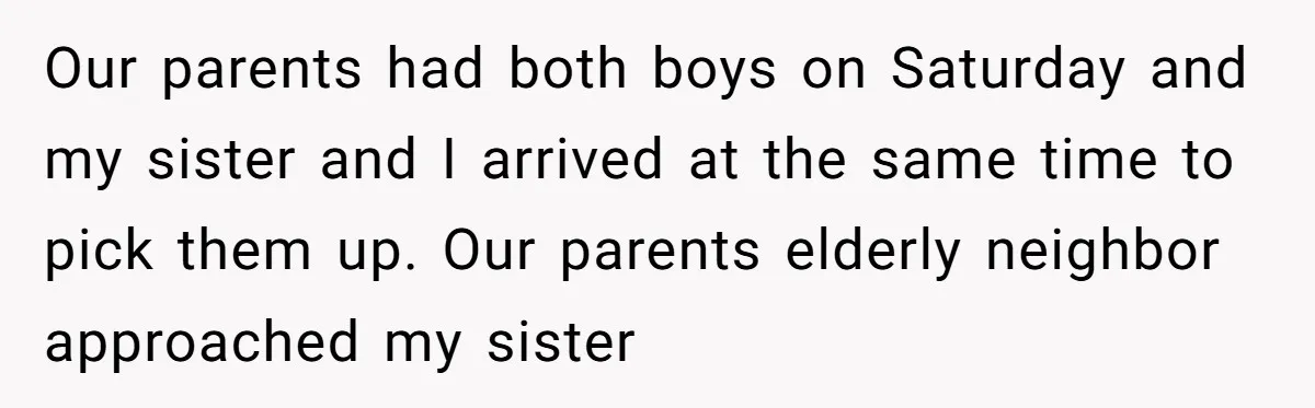 Our parents had both boys on Saturday and my sister and I arrived at the same time to pick them up. Our parents elderly neighbor approached my sister